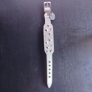Good2Go Buckled Silver Studded Adjustable Dog Collar XS-SM Pets Fur Babies